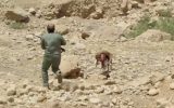 محیط‌بانان خائیز به رگبار بسته شدند/ جزئیات جدید از حادثه