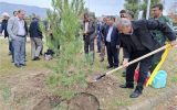 سرانه فضای سبز شركت نفت گچساران بالاتر از استاندارد جهانی