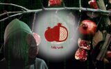 یلدا، امتحانات را به تاخیر انداخت