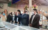 موزه مردم شناسی گچساران مورد بازدید و ارزیابی قرار گرفت+گزارش تصویری